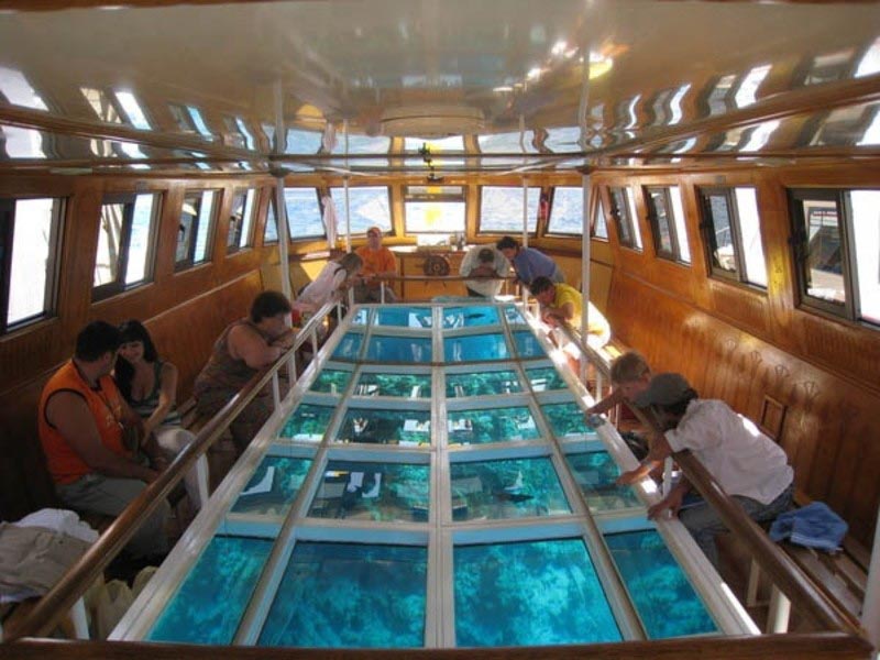 A Trip in the Red Sea by a Bottom Glass Boat in Sharm el Sheikh